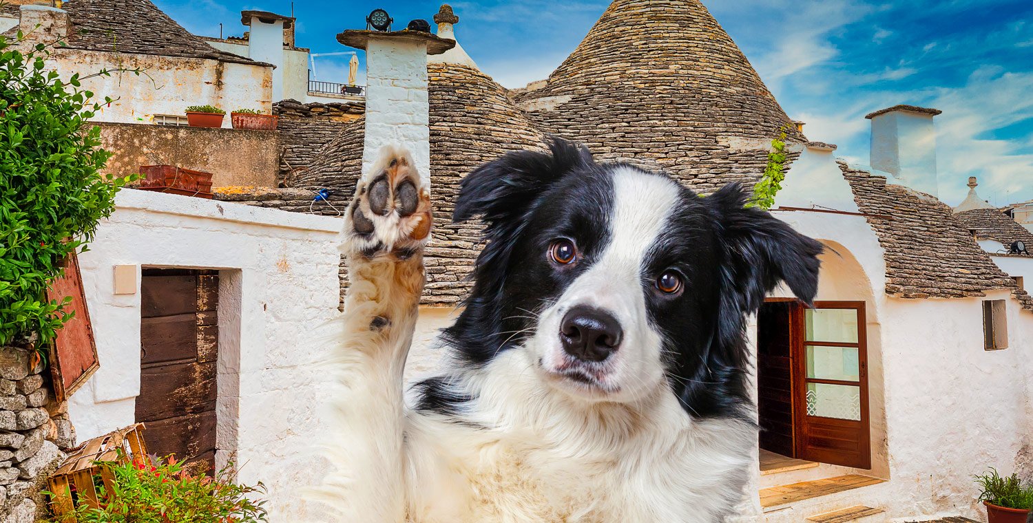 Travelling in Puglia on “4 Paws”